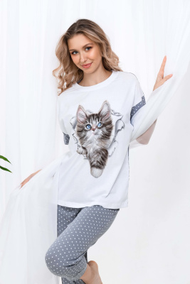 Костюм Брамс серый