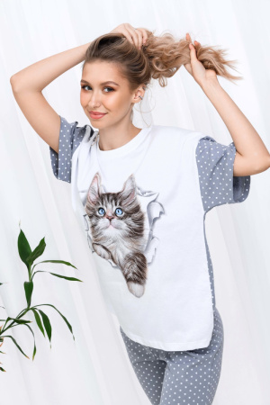 d9dac318-e946-4ad4-acdd-b85d77ab53c9