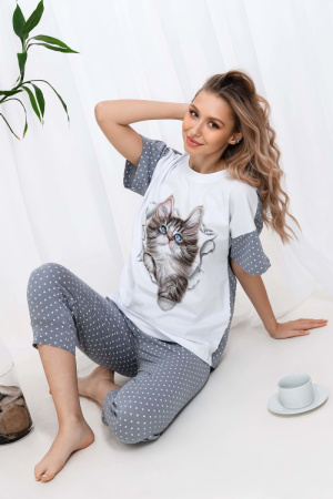 1cb5de02-5a3f-4ba1-947a-f6cad2e9229d